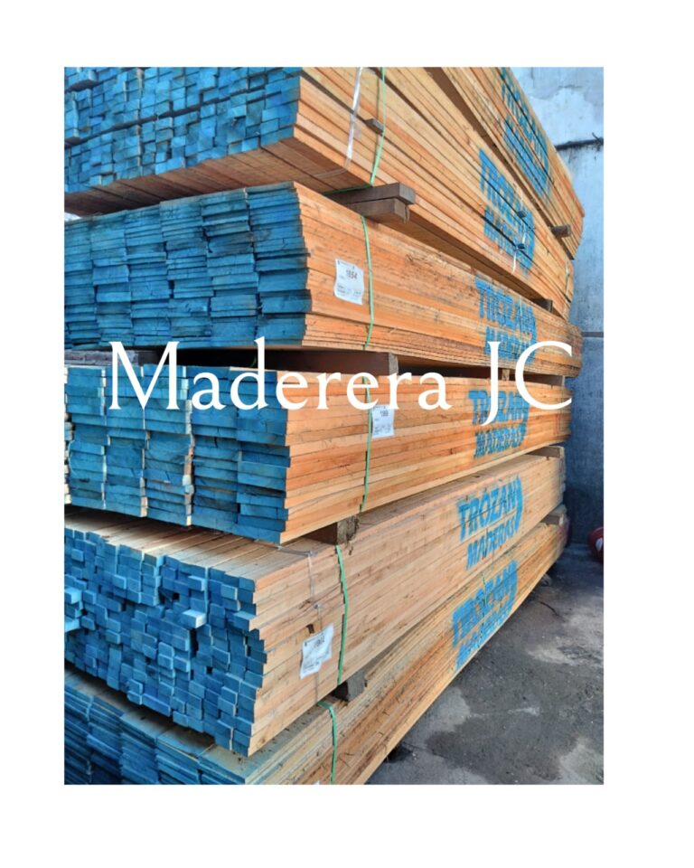 WhatsApp Image 2024 09 23 at 18.24.35 768x960