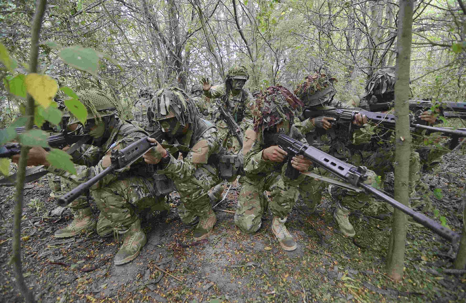 Soldados del Ejército Argentino con uniforme de camuflaje y fusiles, agazapados entre árboles durante un ejercicio táctico