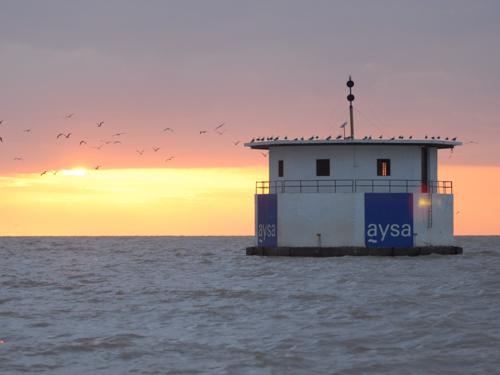 Una toma de agua de AySA en el Río de la Plata al atardecer, con gaviotas volando sobre el agua