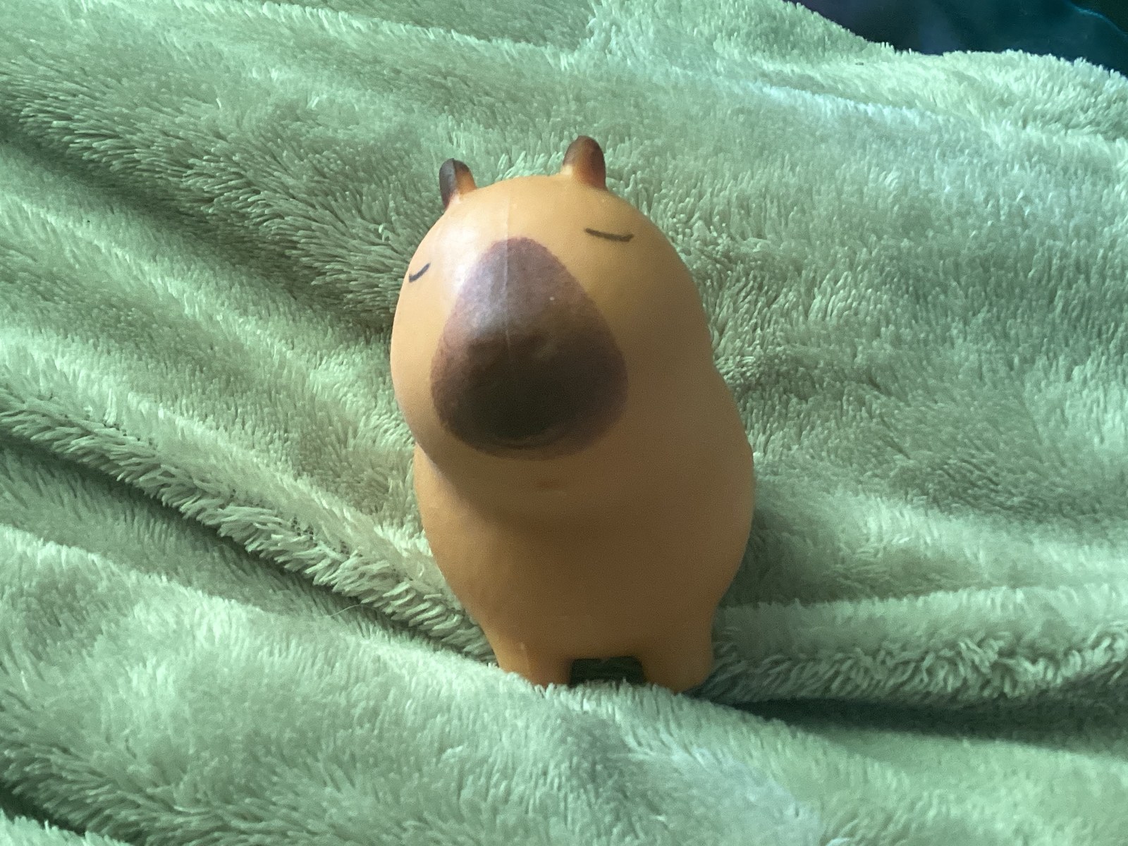 Juguete blando de plástico tipo squishy con forma de carpincho sobre una manta verde, imagen ilustrativa