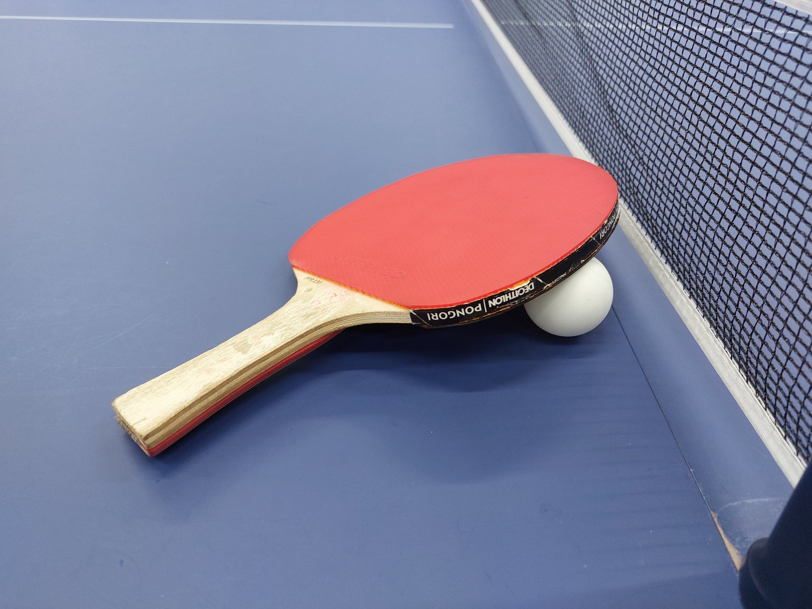 Paleta roja de tenis de mesa apoyada sobre una pelota blanca en una mesa azul, junto a la red