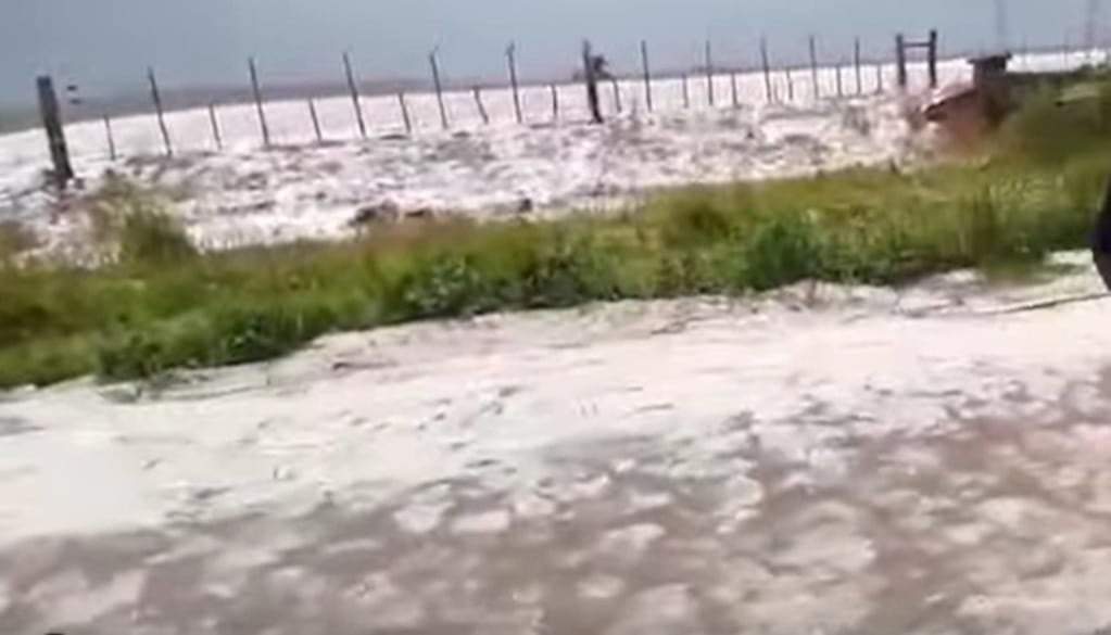 Campo del paraje Dos Naciones cubierto de blanco tras la caída de granizo en Balcarce