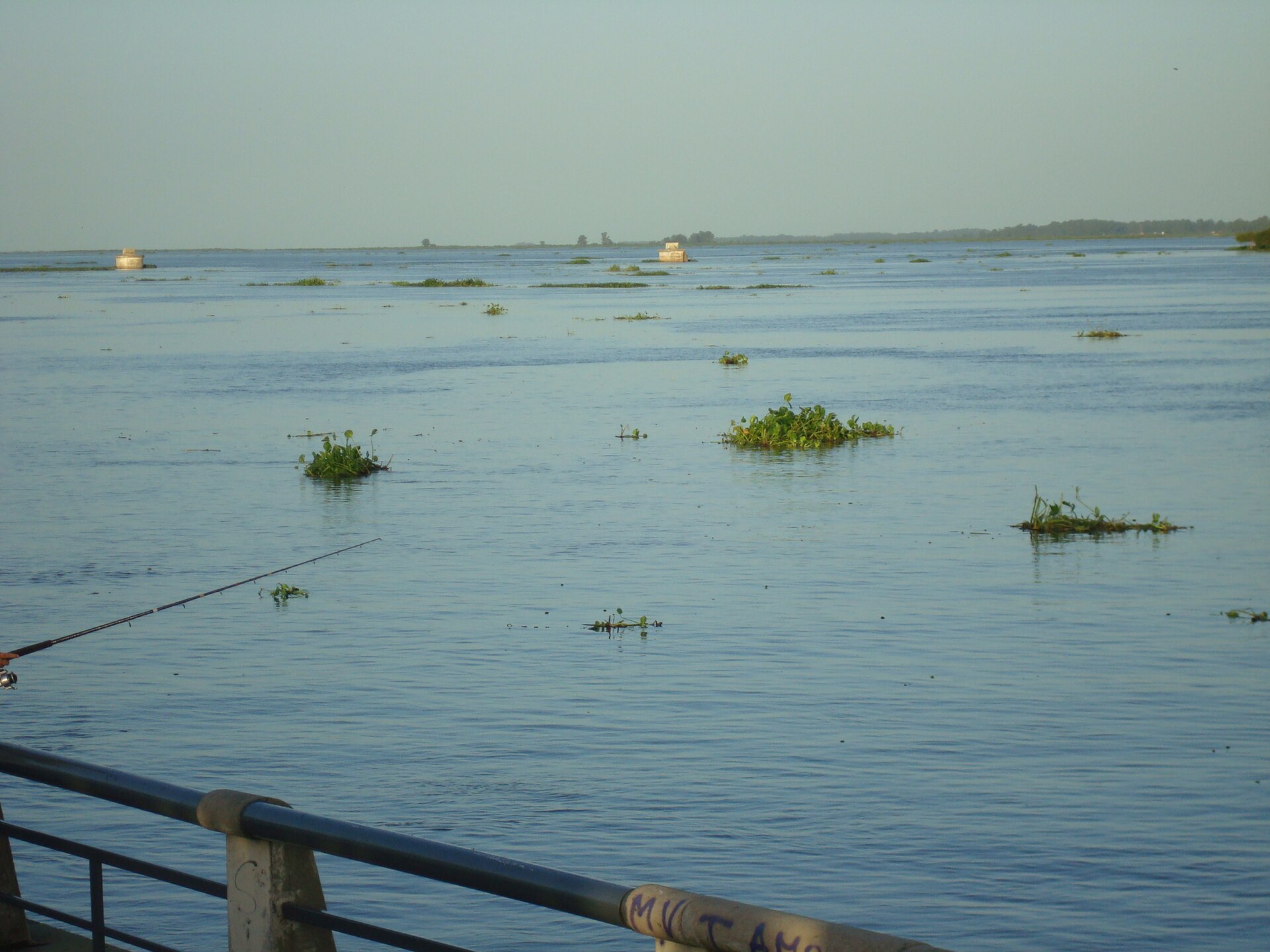 Inundaciones por El Niño: el río Paraná crecido, con camalotes, frente a la costanera santafesina